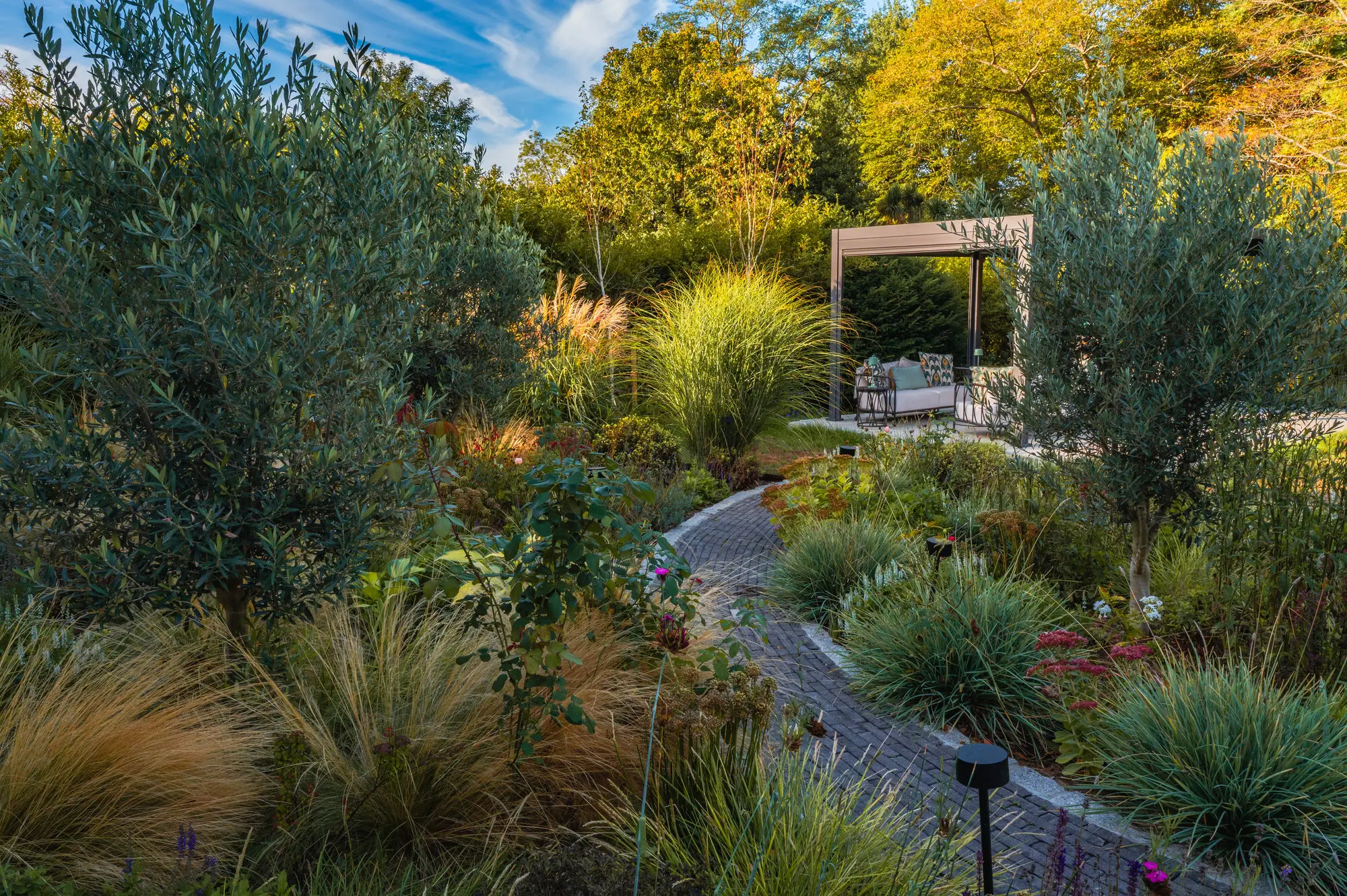 A brick path curving between olive trees and ornamental grasses towards a pergola with outdoor seating, in autumn light
